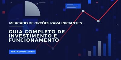 Mercado De Op Es Para Iniciantes Guia Completo De Investimento E